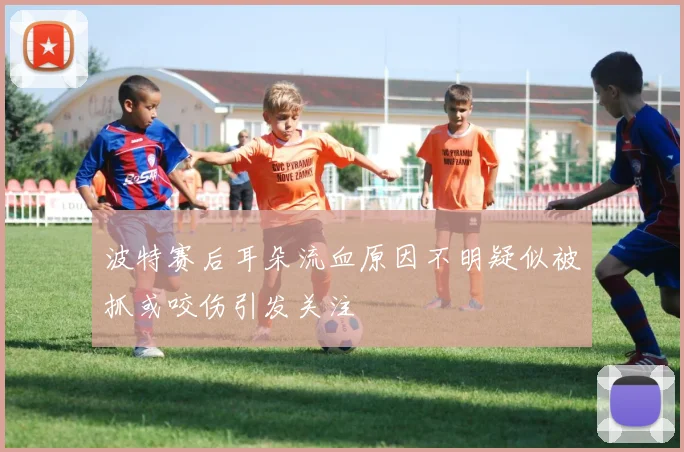 波特赛后耳朵流血原因不明疑似被抓或咬伤引发关注